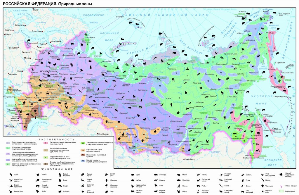 Карта природных зоны России в хорошем качестве