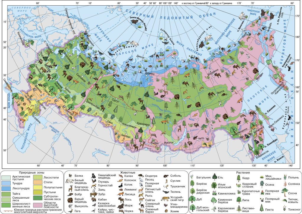 Карта природных зон с обозначением растений и животных